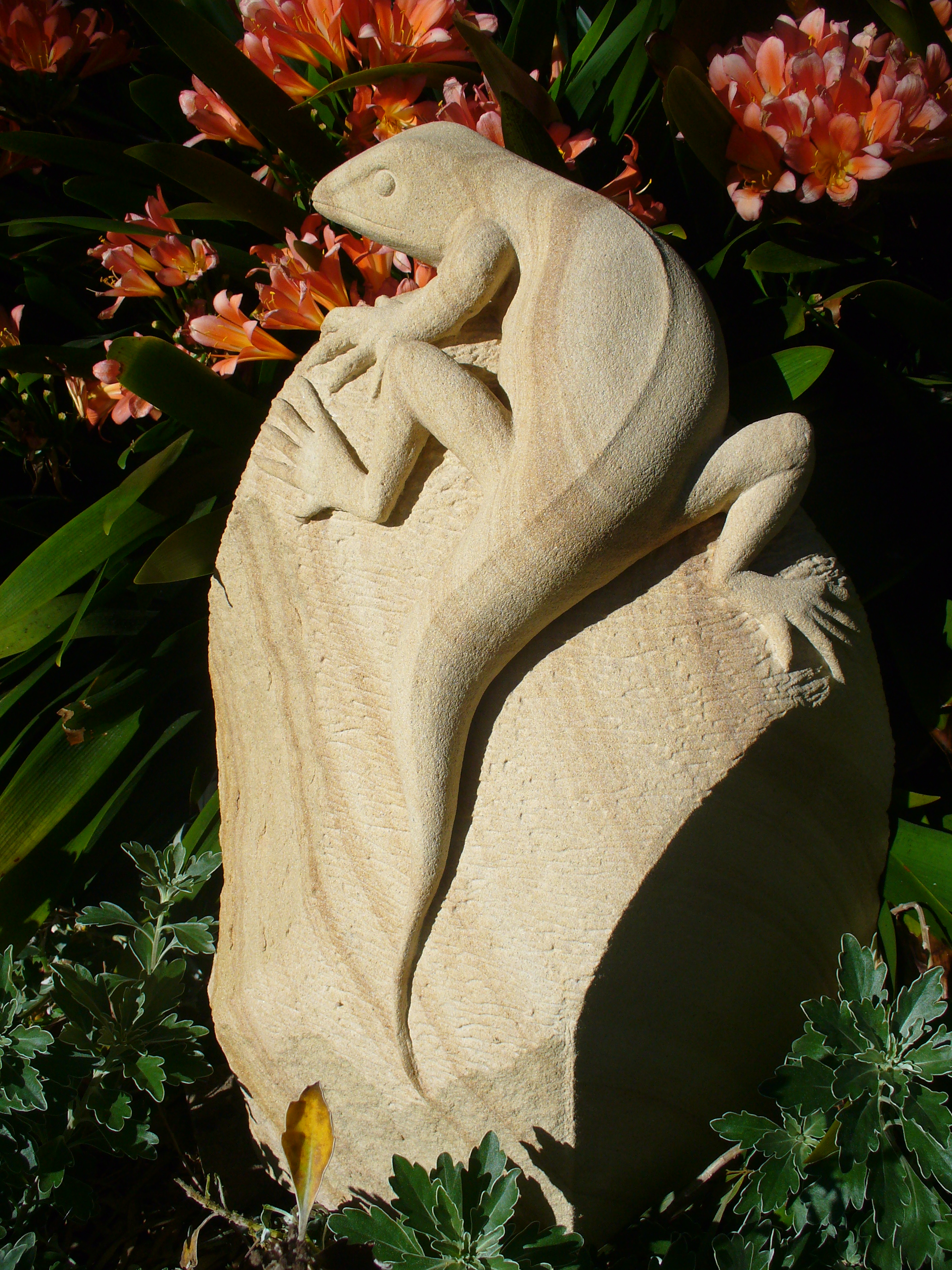 Lizard 7
